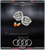 Clearglas sideblinker 2 pcs set